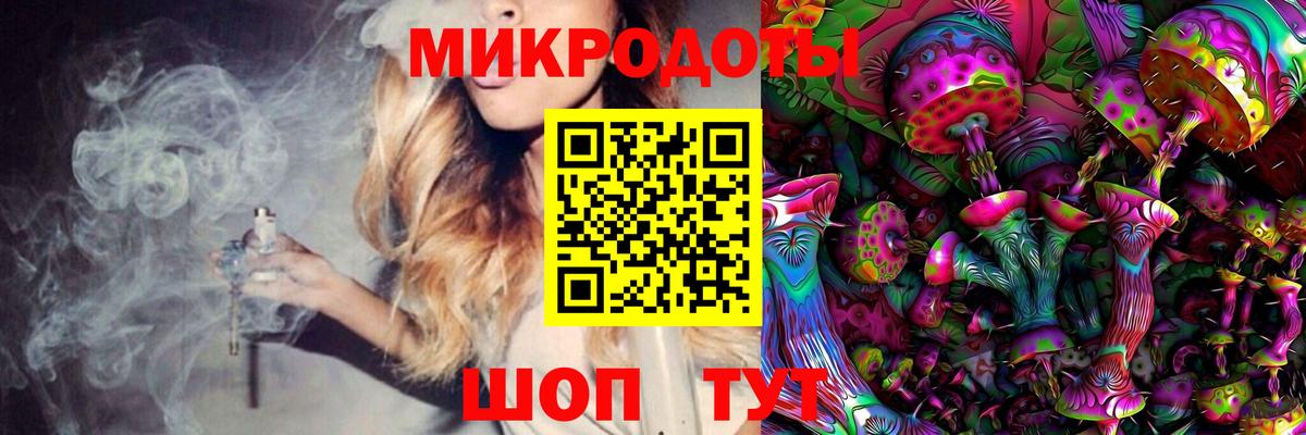 Сухой Лог  Псилоцибиновые грибы мицелий  Вход с VPN 